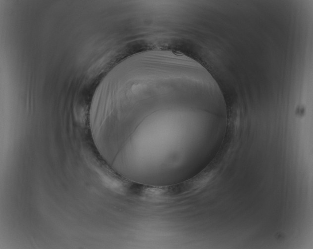 X0000111530139200907281411