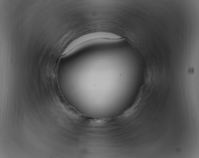 X0000111530140200907281411