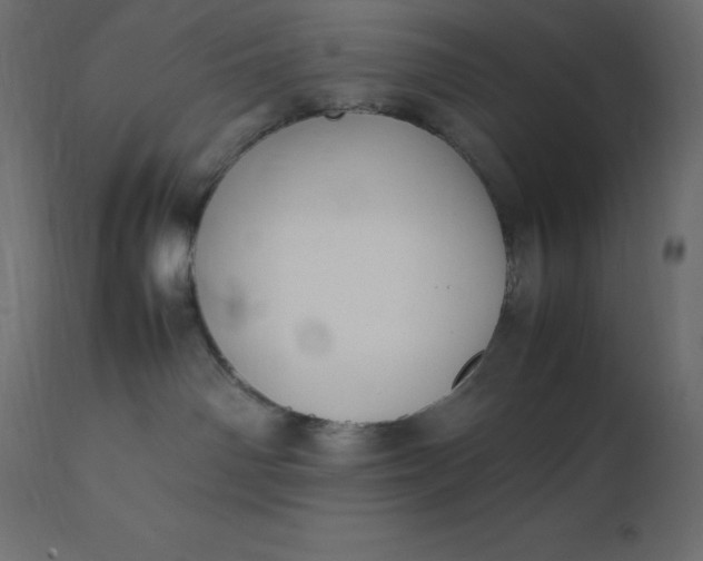 X0000111530142200907281411