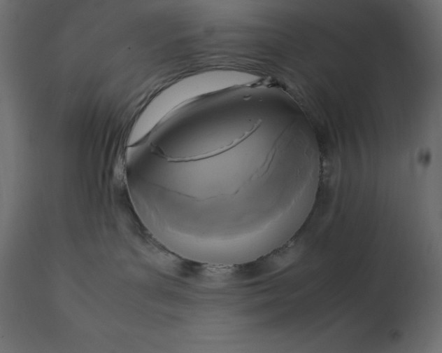 X0000111530143200907281411