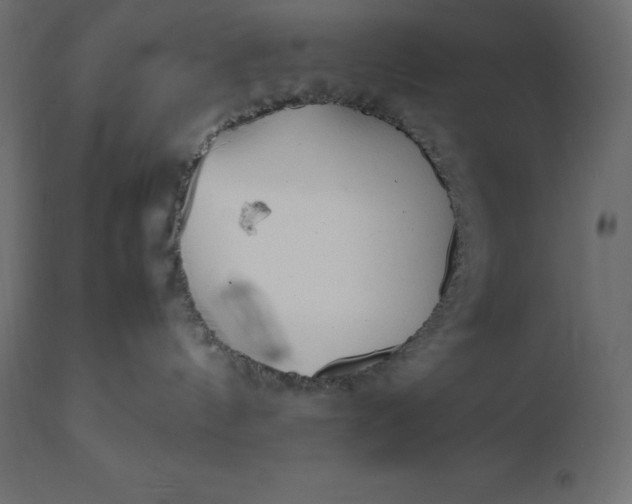 X0000111530144200907281411