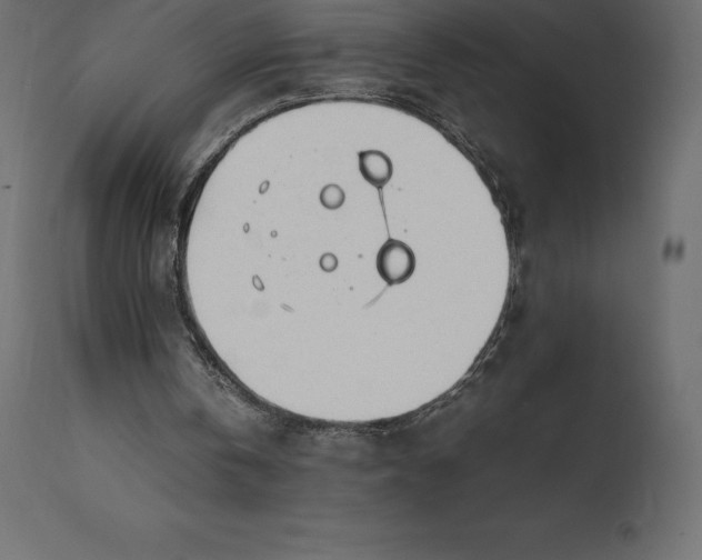 X0000111530146200907281410