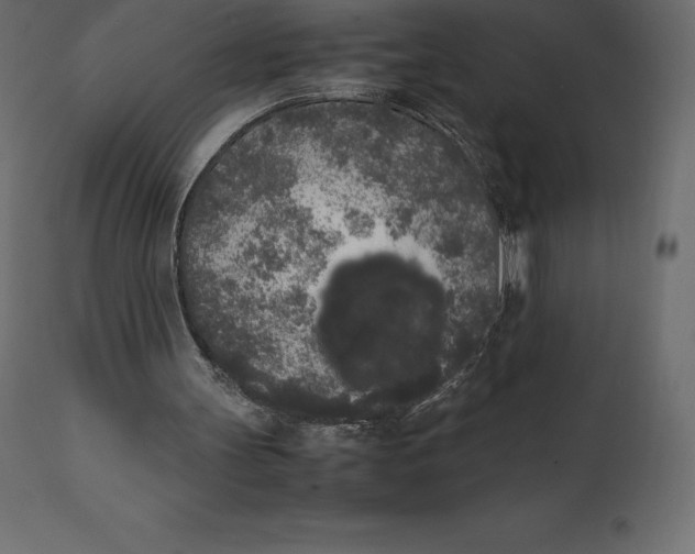 X0000111530147200907281410