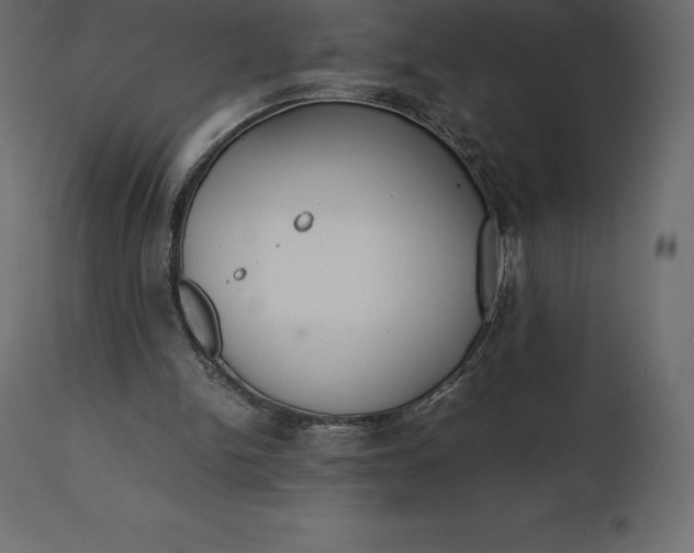 X0000111530150200907281411