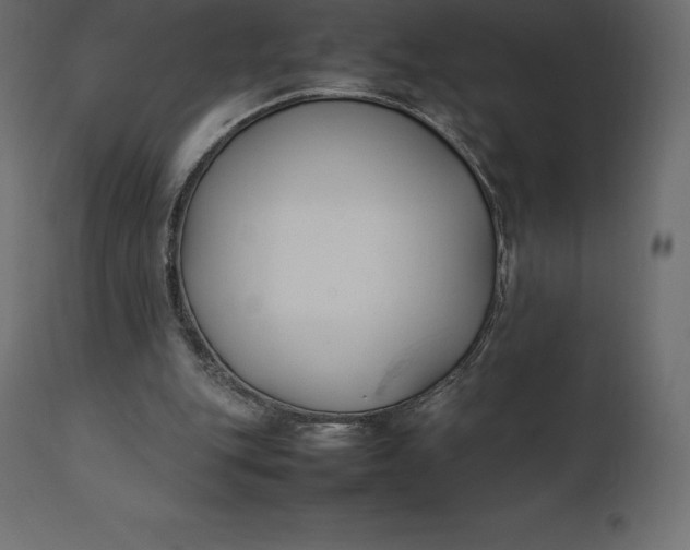 X0000111530151200907281411