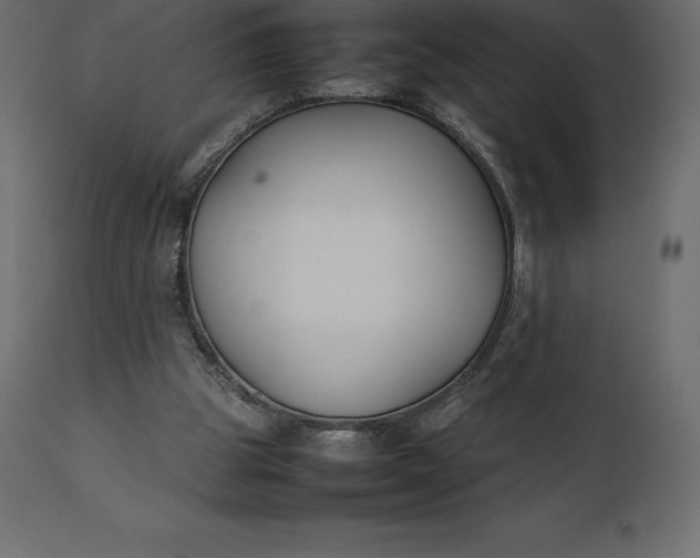 X0000111530153200907281411