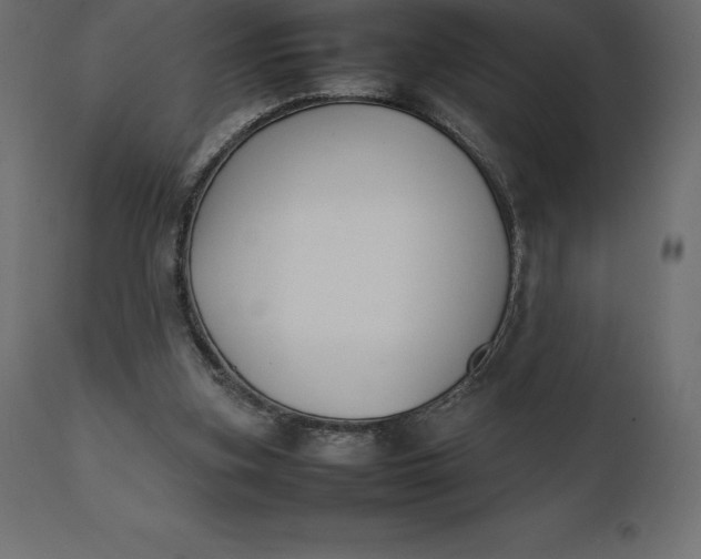 X0000111530155200907281411