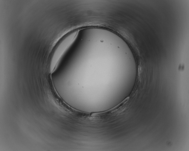 X0000111530156200907281411