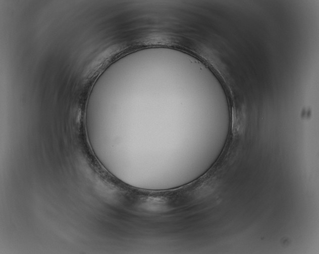 X0000111530157200907281411