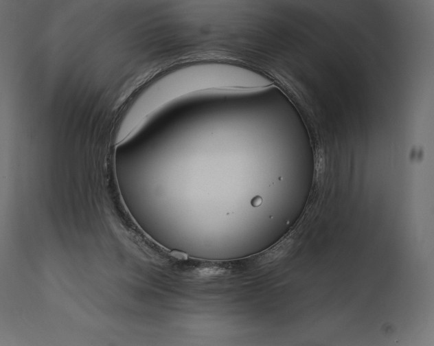 X0000111530158200907281411