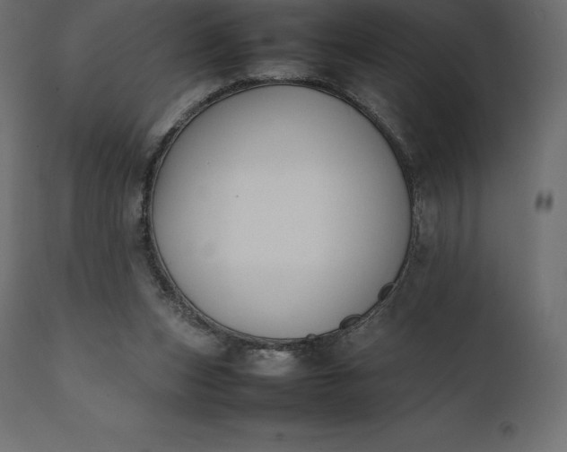 X0000111530159200907281411