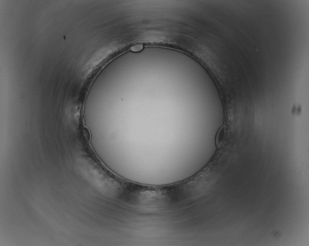 X0000111530160200907281411