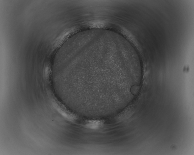 X0000111530161200907281411