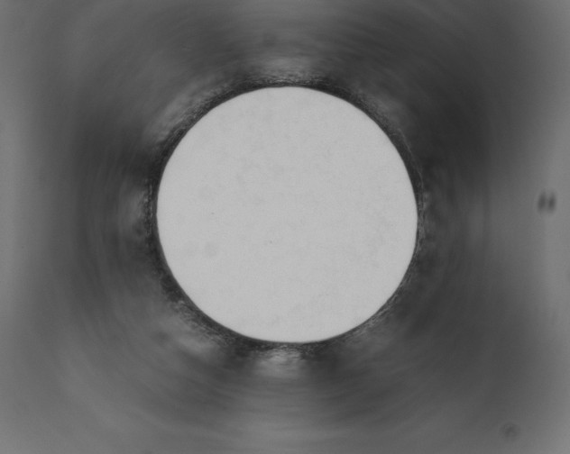 X0000111530162200907281411