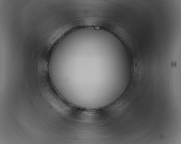 X0000111530164200907281411