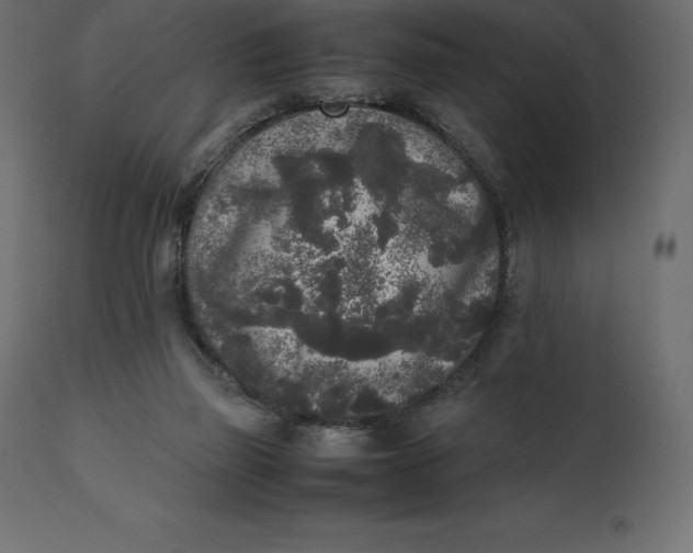 X0000111530165200907281411