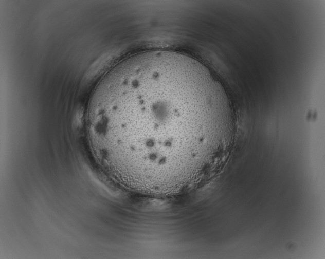 X0000111530166200907281411