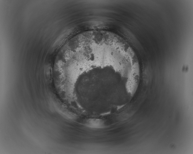 X0000111530169200907281411