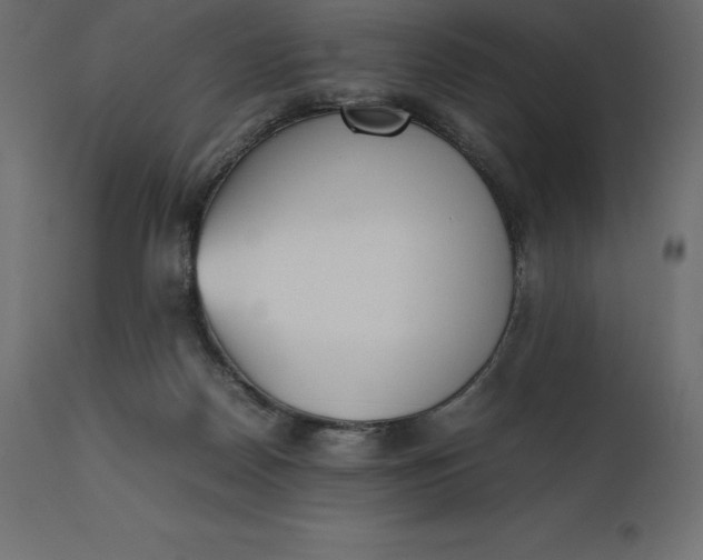 X0000111530170200907281411