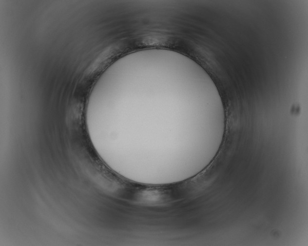 X0000111530171200907281411