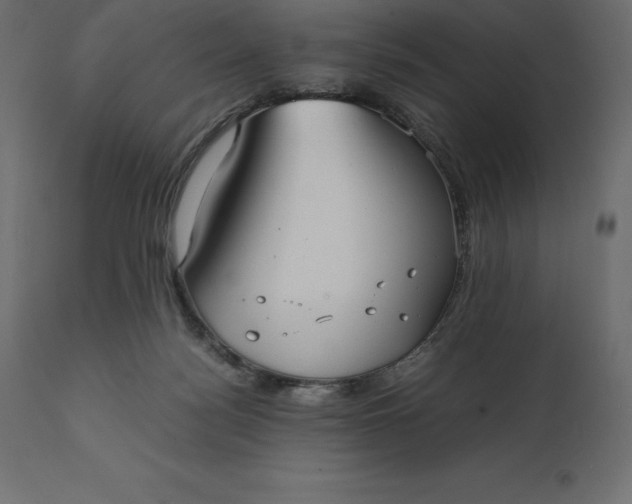 X0000111530172200907281411