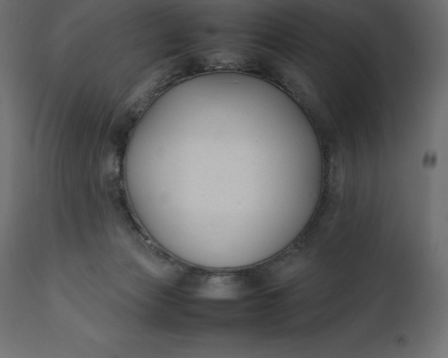 X0000111530173200907281411