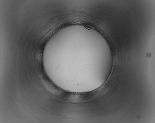 X0000111530174200907281411