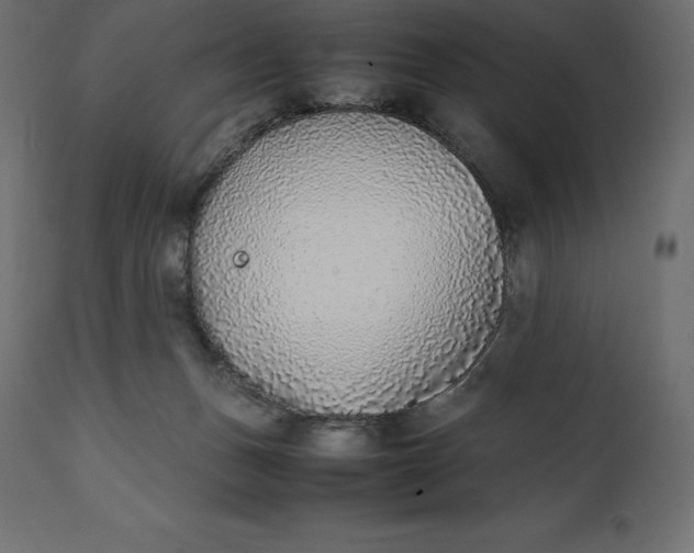 X0000111530175200907281411