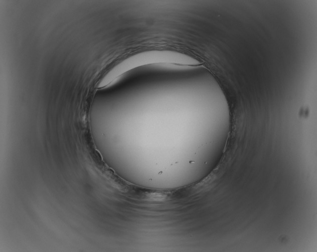 X0000111530176200907281411