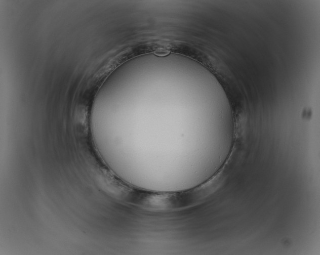 X0000111530178200907281411