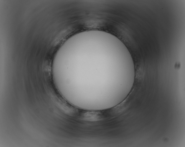 X0000111530179200907281411