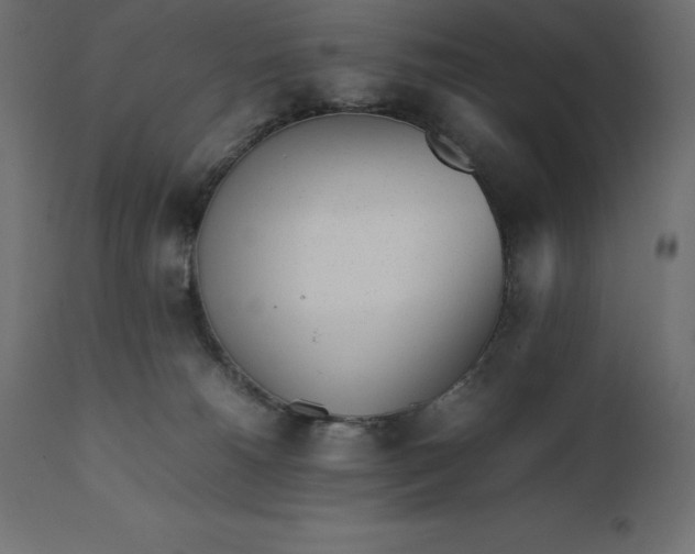 X0000111530180200907281411