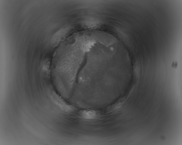 X0000111530181200907281411