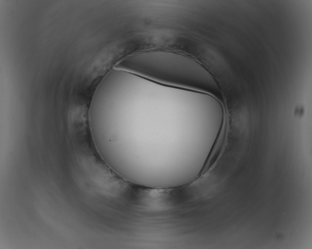 X0000111530184200907281411