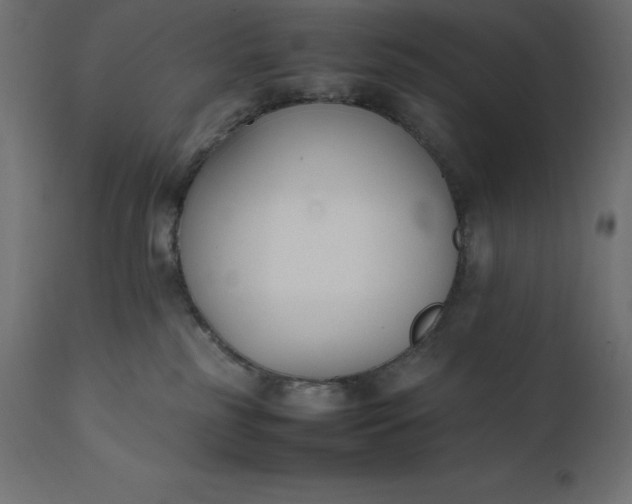 X0000111530185200907281411