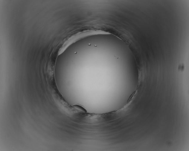 X0000111530186200907281411