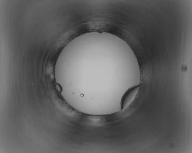 X0000111530187200907281411