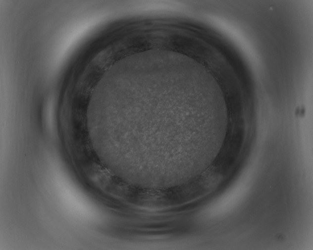 X0000111530189200907281411