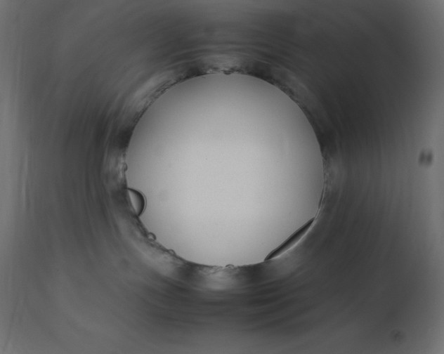 X0000111530191200907281411