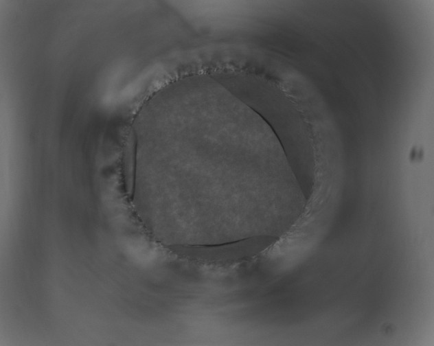 X0000111530192200907281411