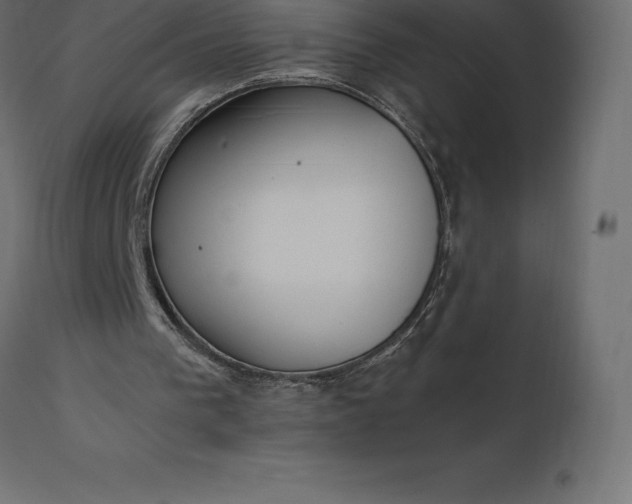 X0000111530193200907281410