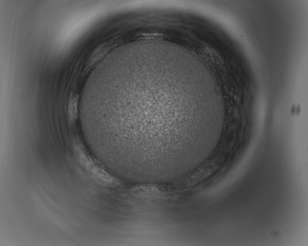 X0000111530194200907281410