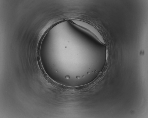 X0000111530195200907281410