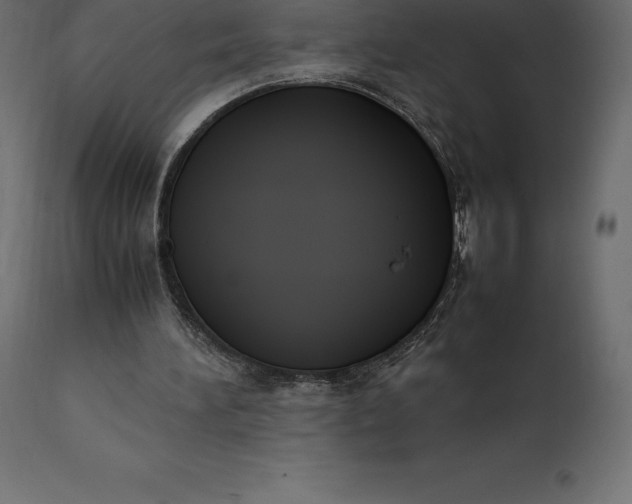 X0000111530196200907281410