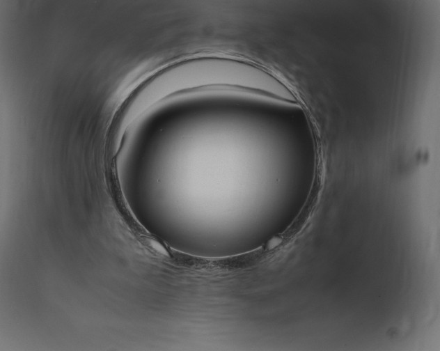 X0000111530199200907281410