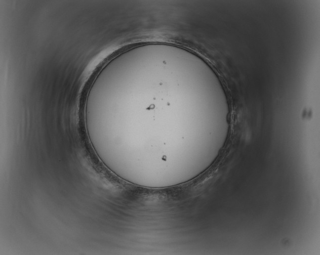 X0000111530200200907281410