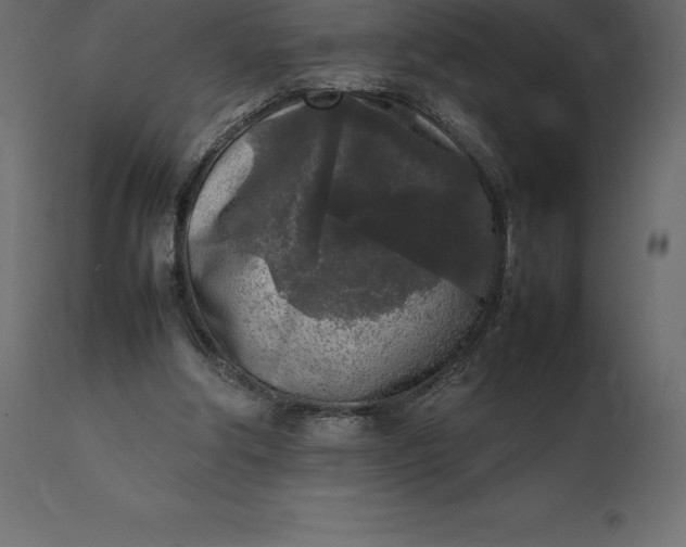 X0000111530202200907281410