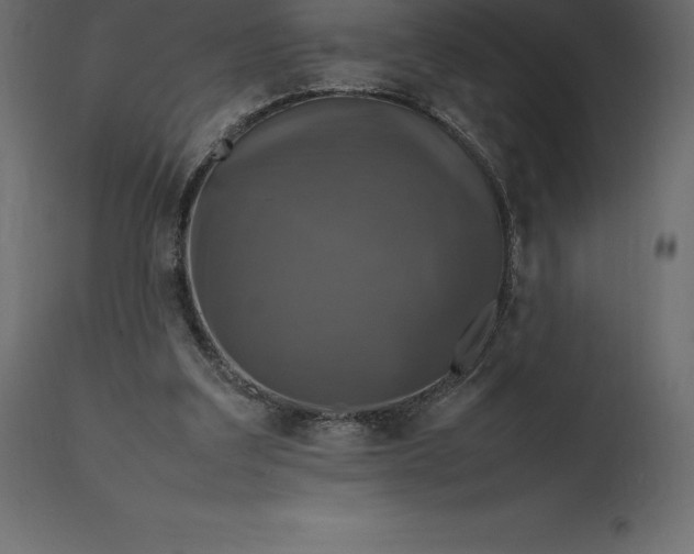 X0000111530203200907281410