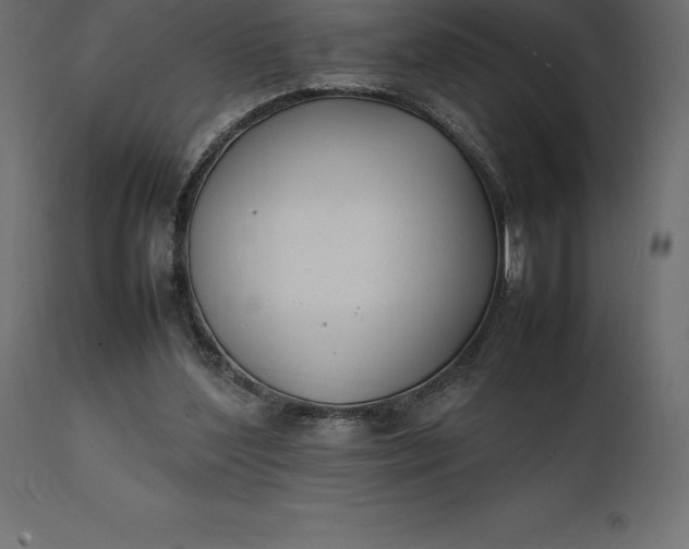 X0000111530204200907281410