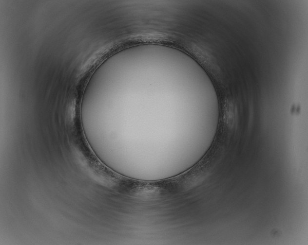 X0000111530206200907281410